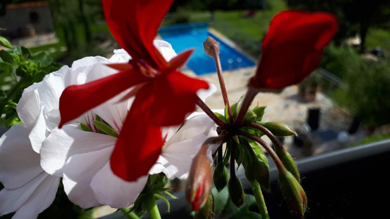 Pension Am Weinberg Bed & Breakfast Mainstockheim エクステリア 写真