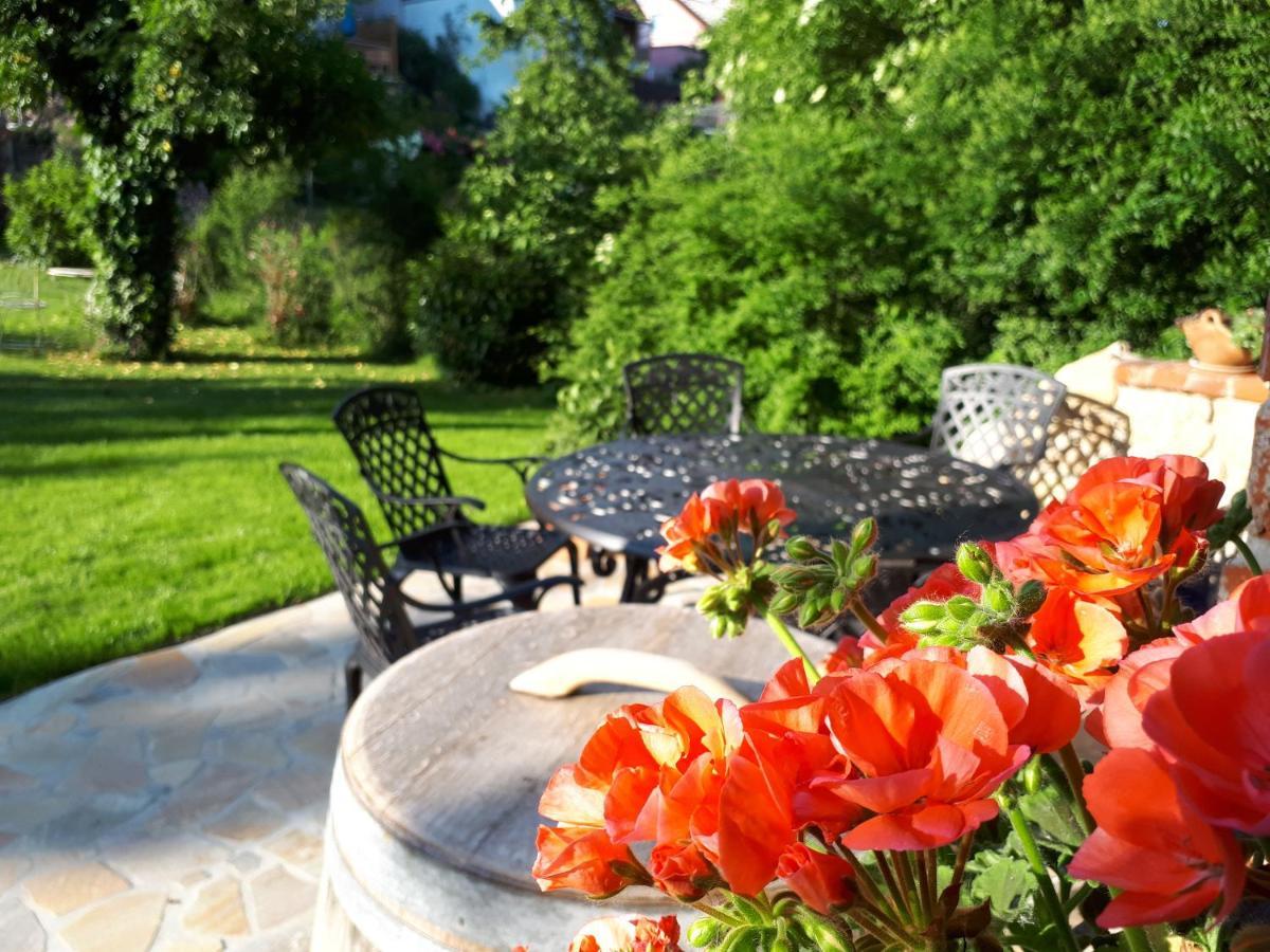 Pension Am Weinberg Bed & Breakfast Mainstockheim エクステリア 写真