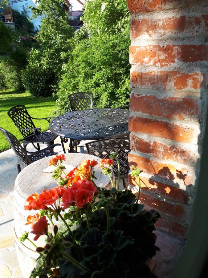 Pension Am Weinberg Bed & Breakfast Mainstockheim エクステリア 写真