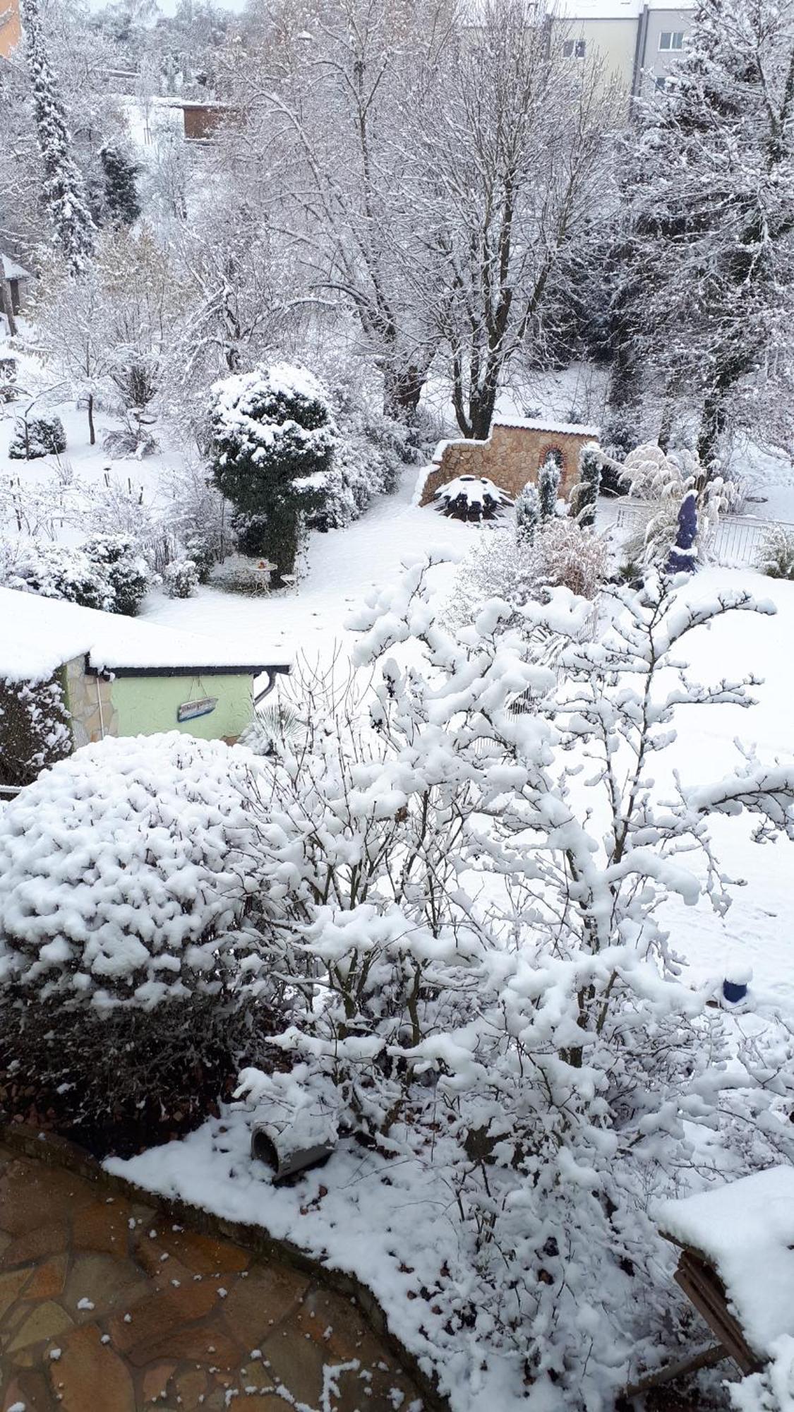 Pension Am Weinberg Bed & Breakfast Mainstockheim エクステリア 写真