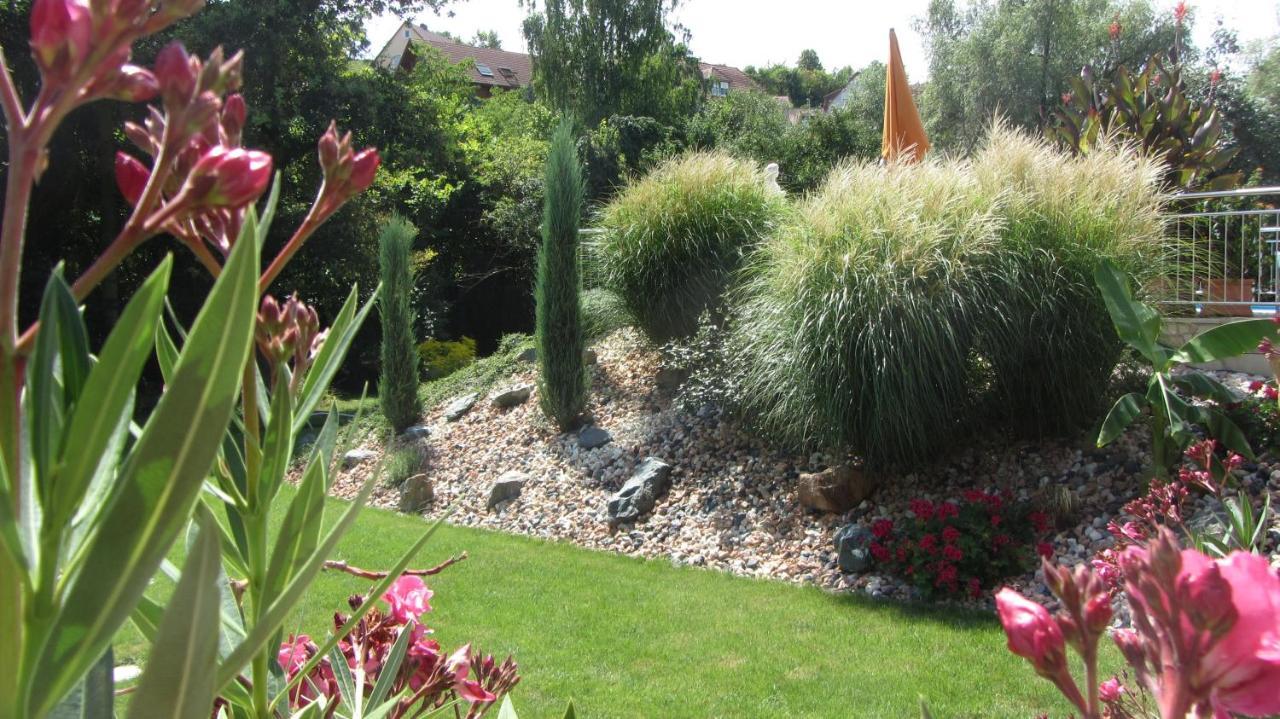 Pension Am Weinberg Bed & Breakfast Mainstockheim エクステリア 写真